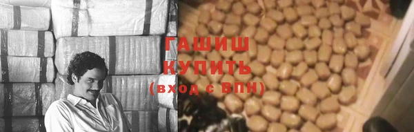 сатива Балахна
