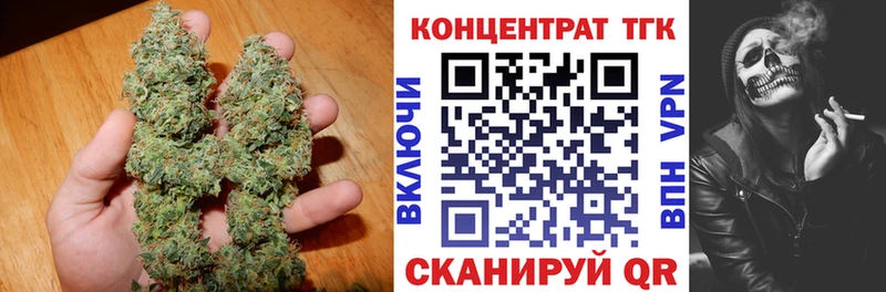 дарнет шоп Нолинск Дистиллят ТГК гашишное масло